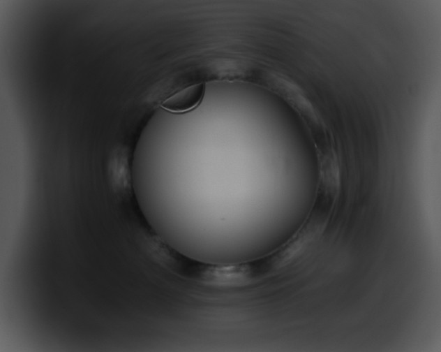 X0000100400622200806061317