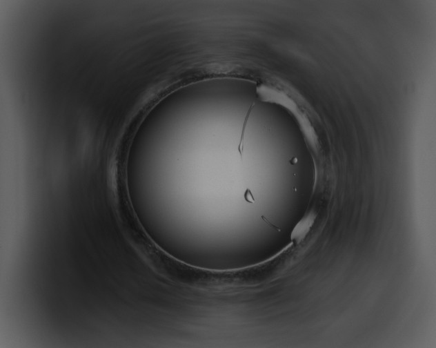 X0000100400626200806061317