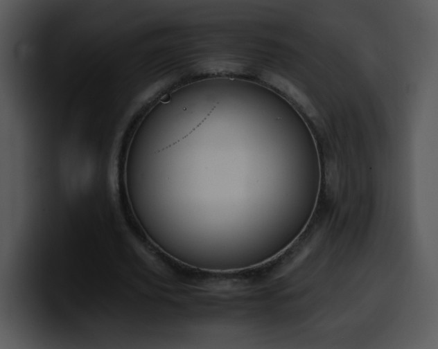 X0000100400629200806061317