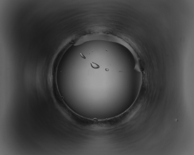 X0000100400630200806061317