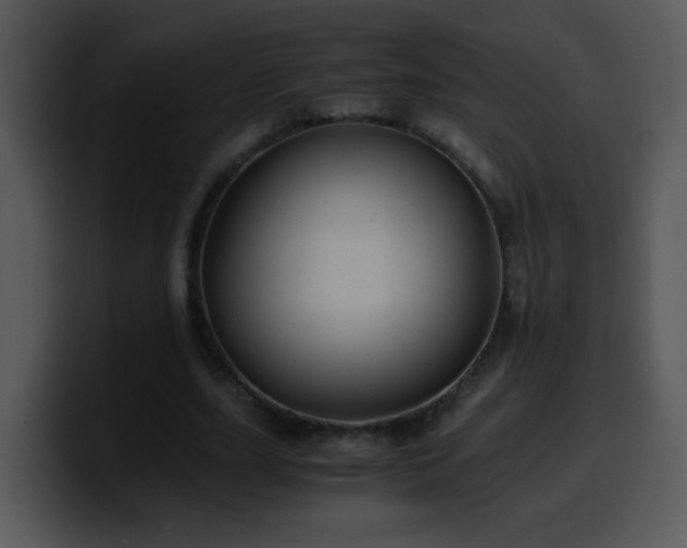 X0000100400631200806061317