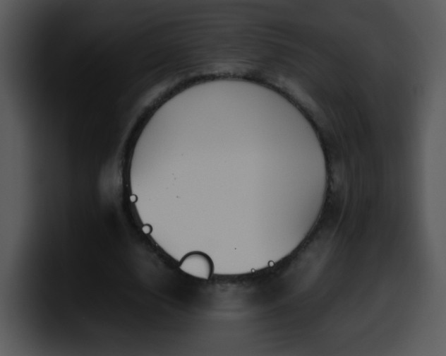 X0000100400632200806061317