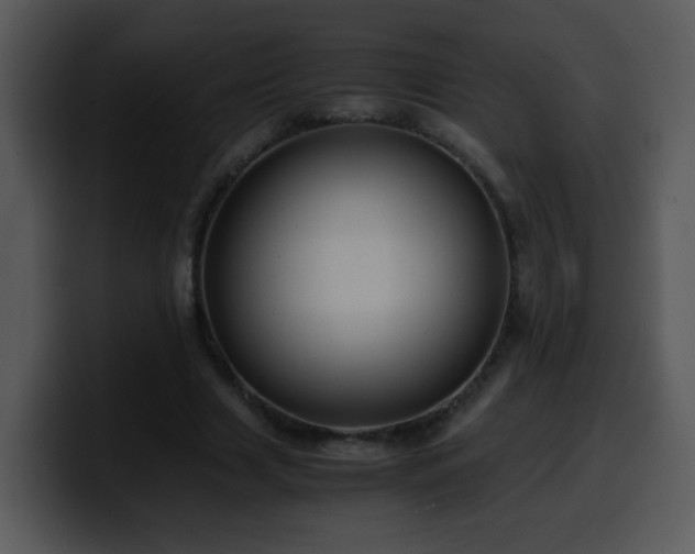 X0000100400633200806061317