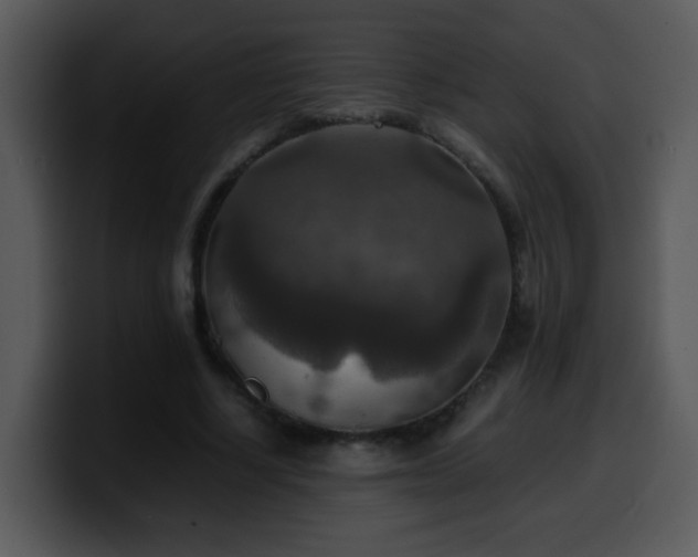 X0000100400634200806061317
