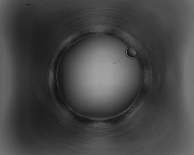 X0000100400636200806061317