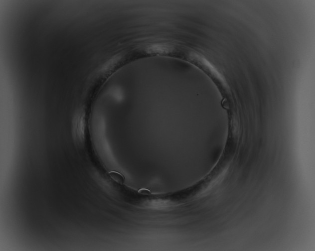 X0000100400637200806061317