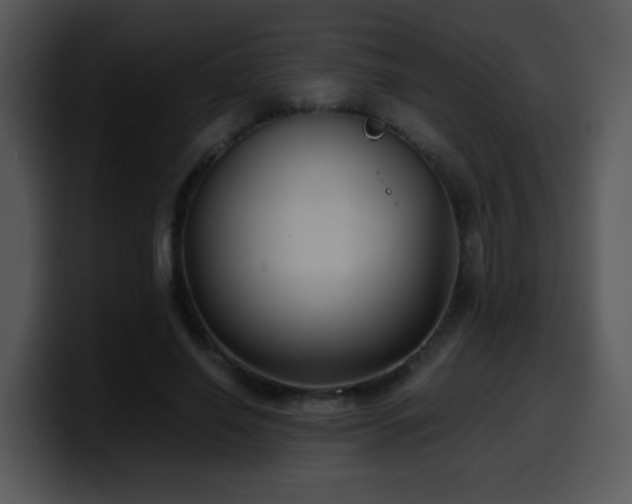 X0000100400638200806061317