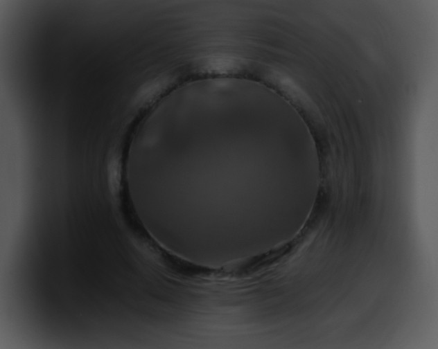 X0000100400640200806061317