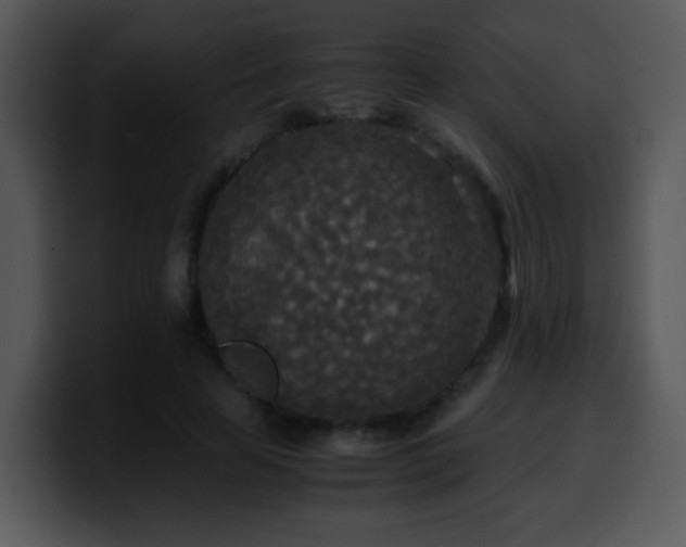 X0000100400641200806061317