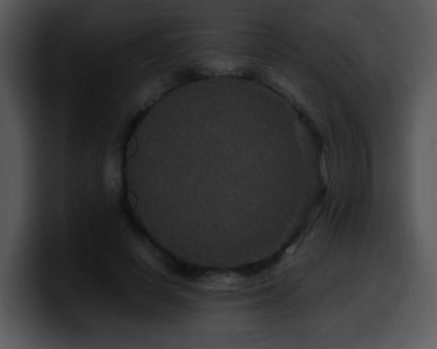 X0000100400642200806061317