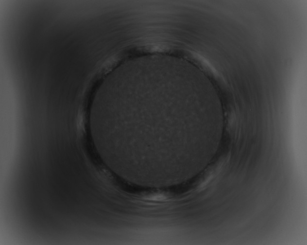 X0000100400643200806061317