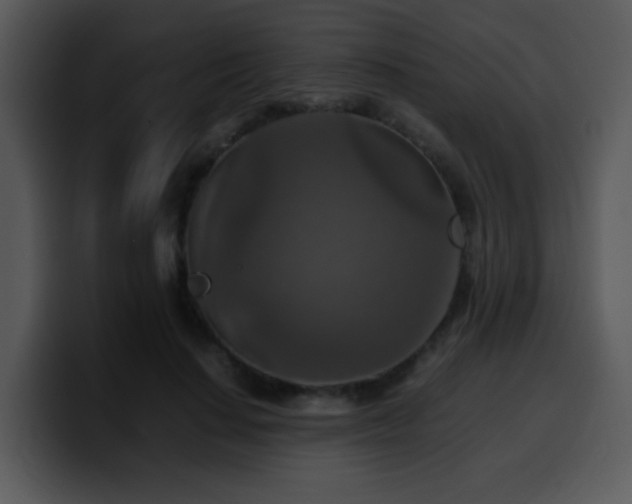 X0000100400644200806061317