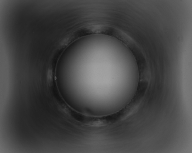 X0000100400646200806061317
