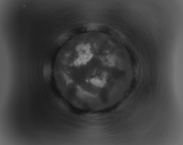 X0000100400648200806061317