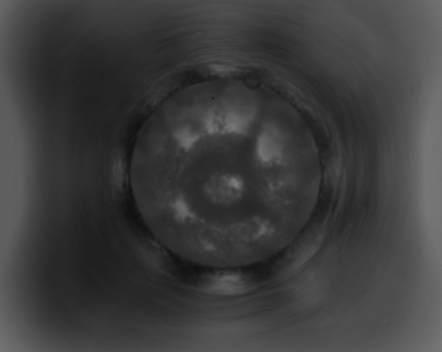 X0000100400651200806061317