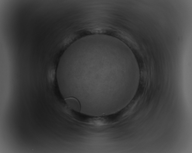 X0000100400652200806061317