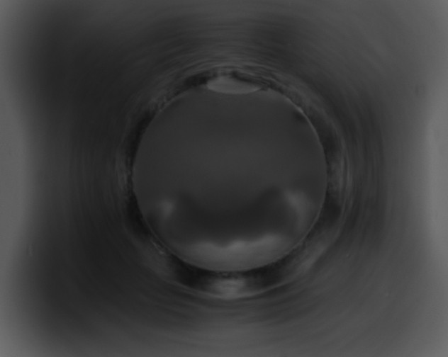 X0000100400653200806061317