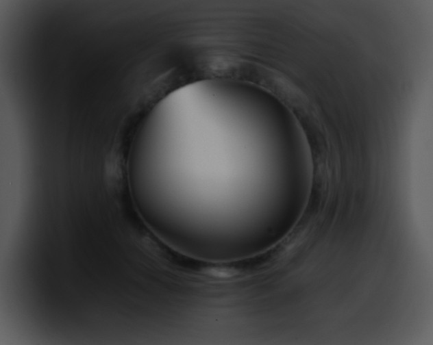 X0000100400654200806061317