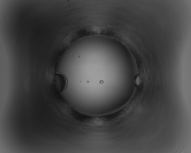 X0000100400656200806061317