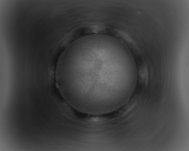 X0000100400657200806061317
