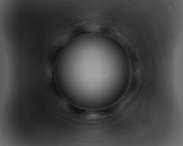 X0000100400658200806061317