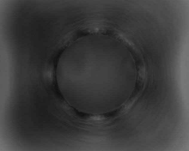 X0000100400659200806061317