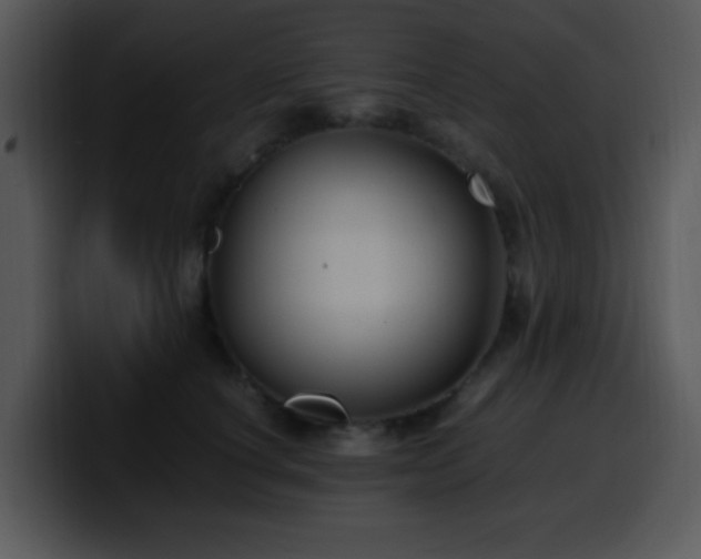X0000100400660200806061317