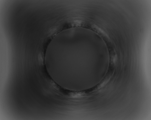 X0000100400661200806061317