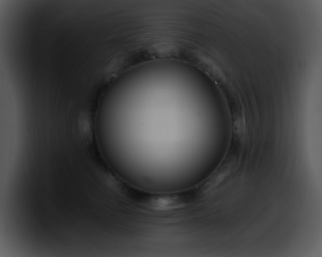X0000100400662200806061317