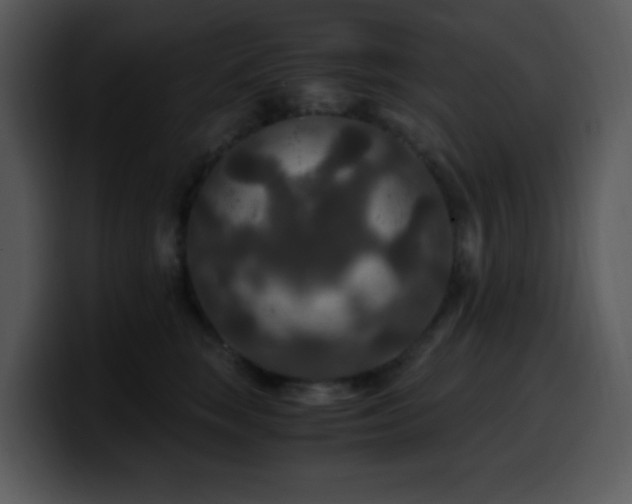 X0000100400663200806061317