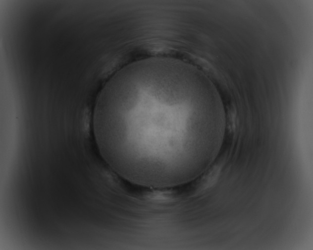 X0000100400664200806061317