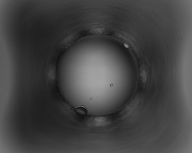 X0000100400665200806061317