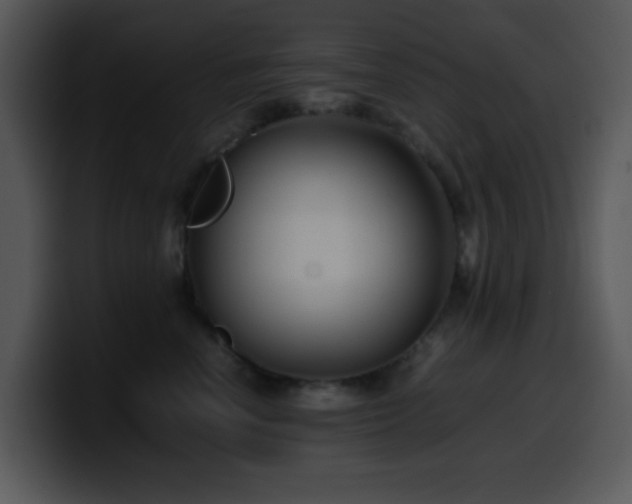 X0000100400666200806061317