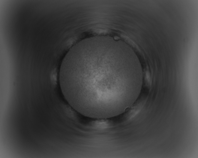 X0000100400668200806061317