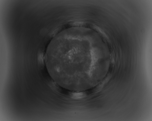 X0000100400669200806061317