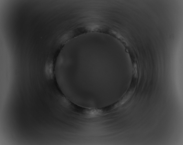 X0000100400670200806061317