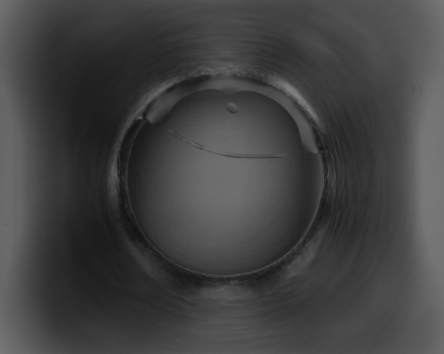 X0000100400674200806061317