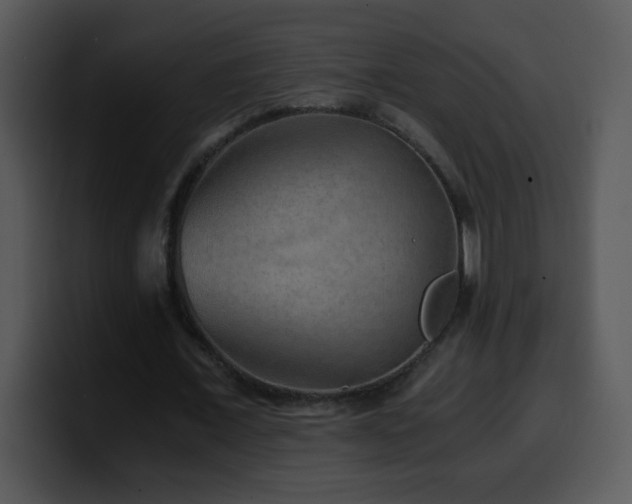 X0000100400675200806061317
