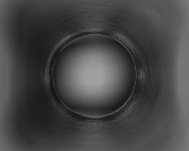X0000100400676200806061317