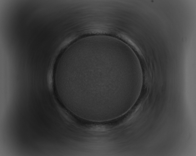 X0000100400677200806061317