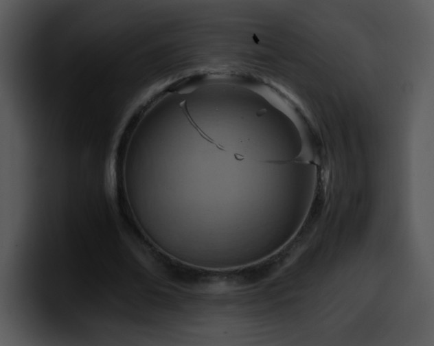 X0000100400678200806061317