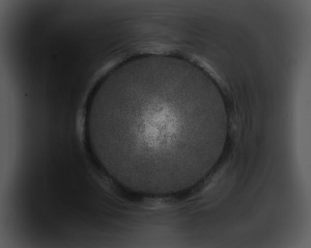X0000100400679200806061317