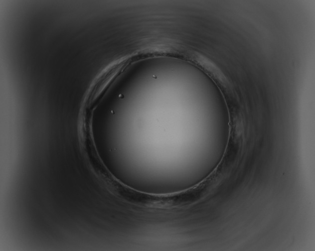 X0000100400680200806061316