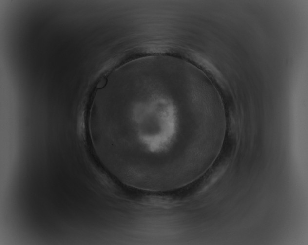 X0000100400681200806061316