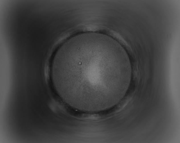 X0000100400683200806061316