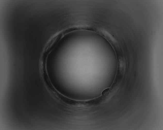 X0000100400684200806061316