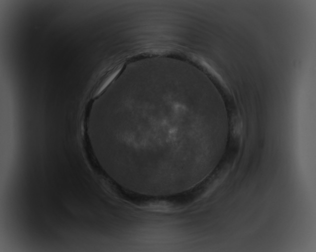 X0000100400685200806061316
