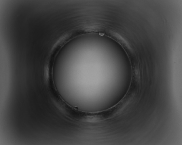 X0000100400686200806061316