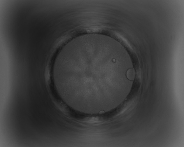 X0000100400687200806061316
