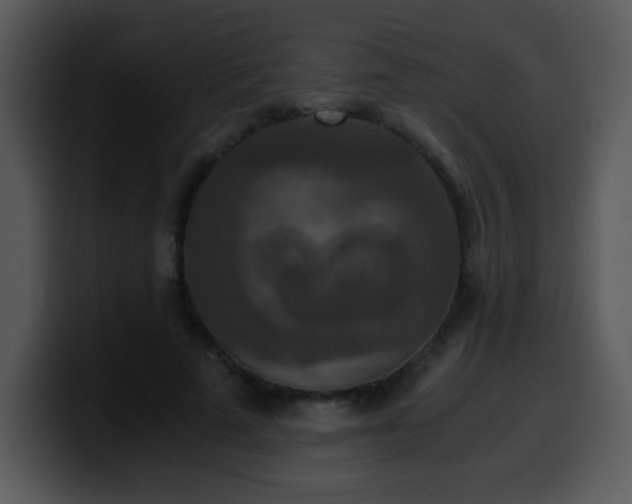 X0000100400689200806061316